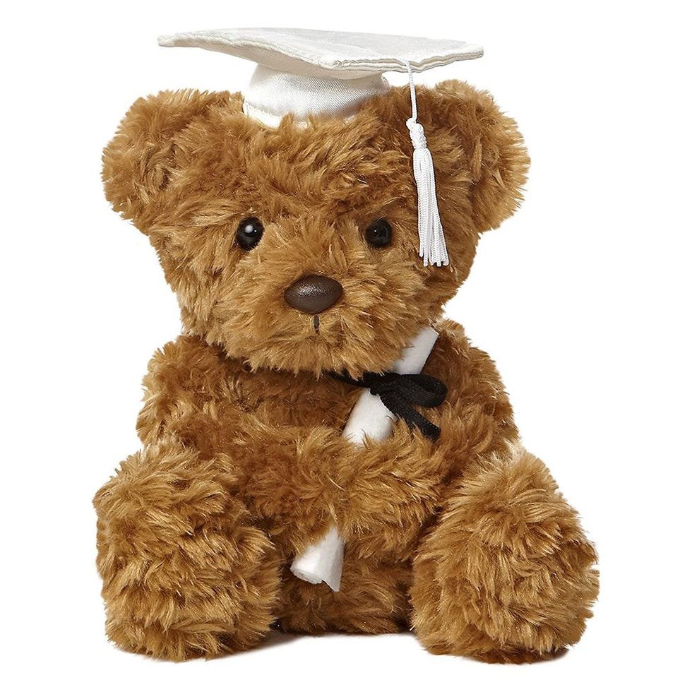 Graduation Bear