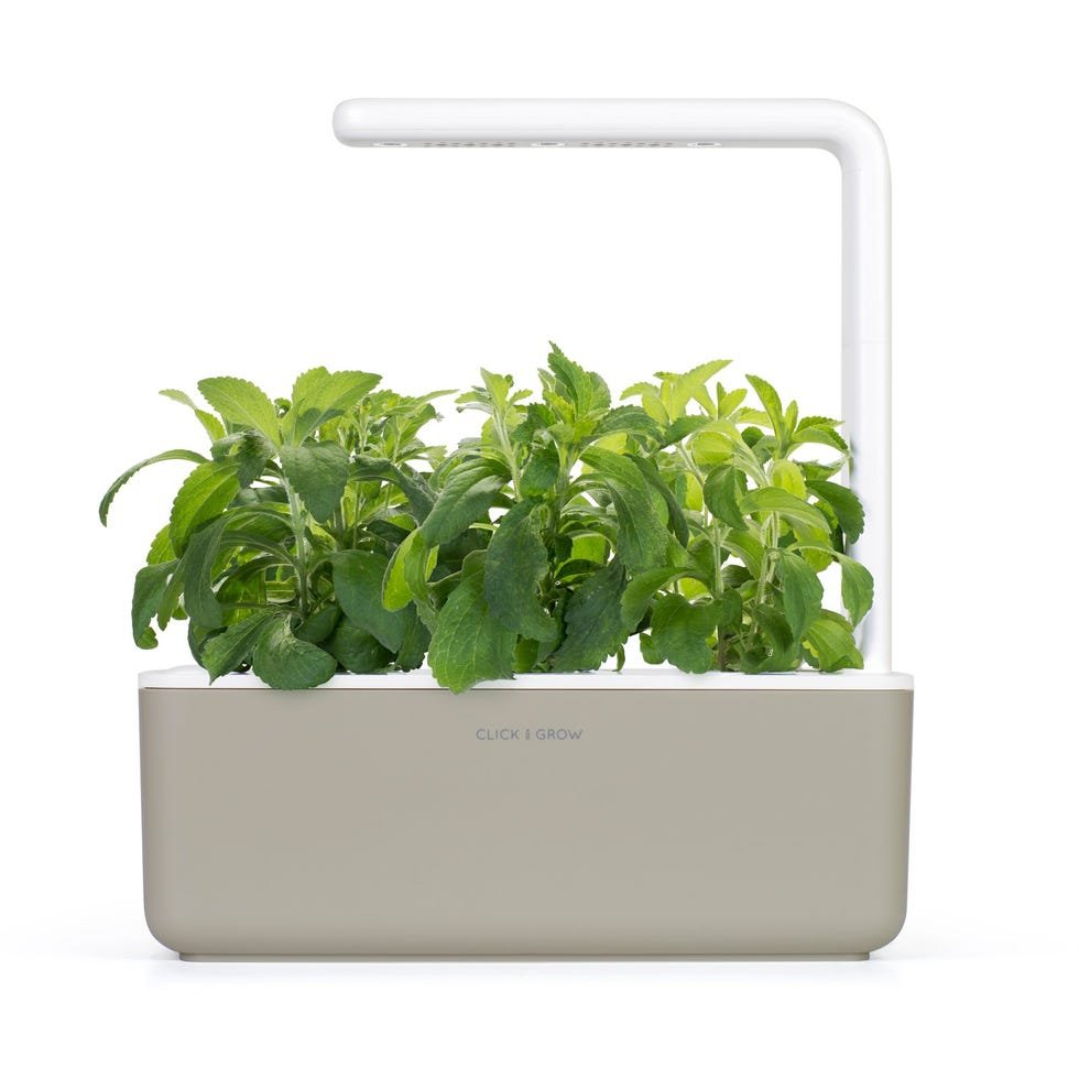 Indoor Herb Garden Kit