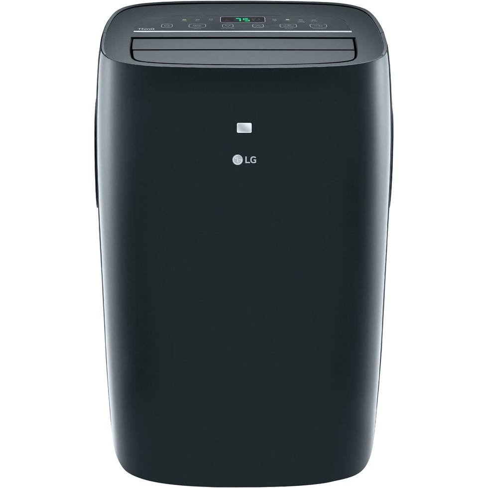 Smart Portable Air Purifier