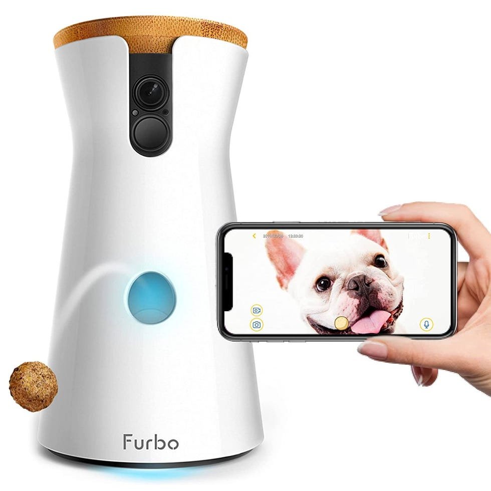 Dog Camera