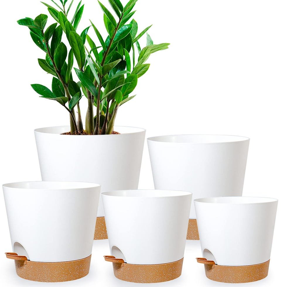 Self-Watering Plastic Planters with Deep Reservoirs