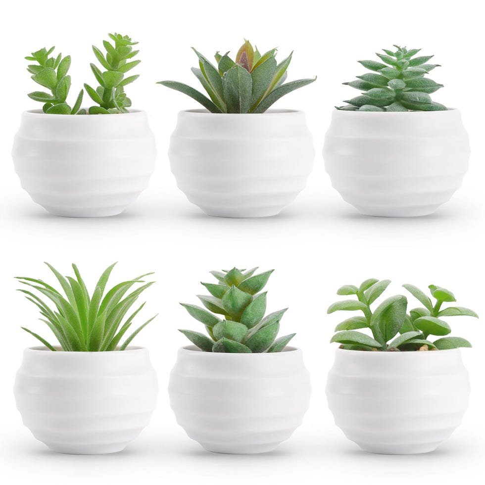 Set of 6 Artificial Succulent Plants