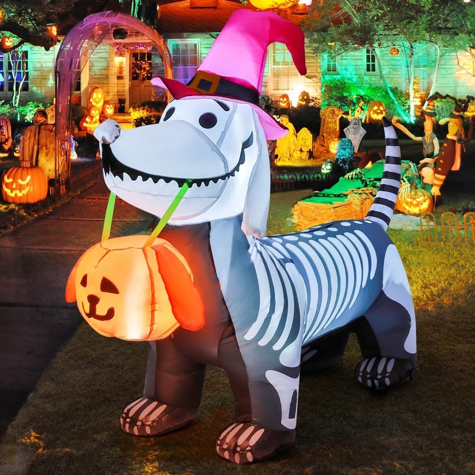 4-Foot Halloween Skeleton Puppy Inflatable Yard Decoration